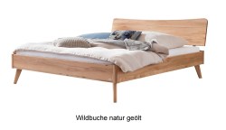 Wildbuche-natur-caluso